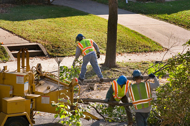 Why Choose Our Tree Removal Services in Garfield, NJ?